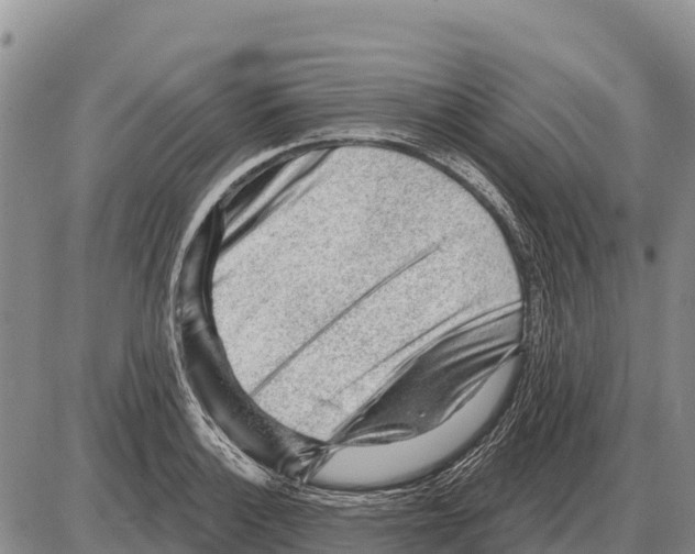 X0000086301132200704271820