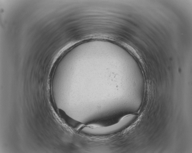 X0000086301133200704271820