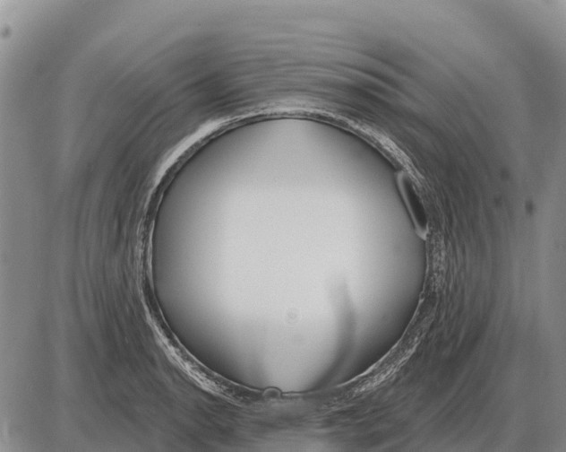 X0000086301134200704271820