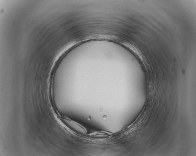 X0000086301135200704271820