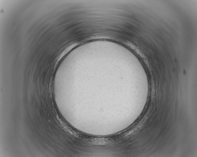 X0000086301137200704271820