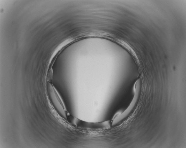 X0000086301138200704271820