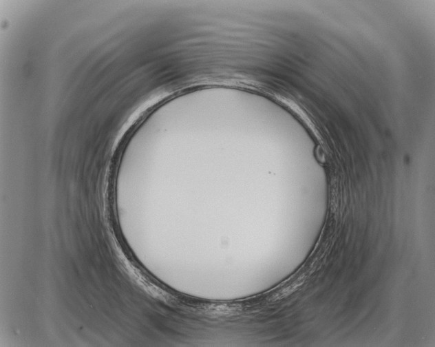 X0000086301139200704271820