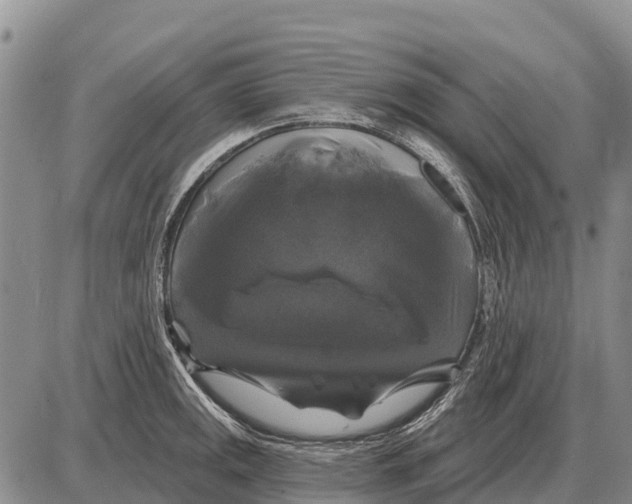 X0000086301141200704271820