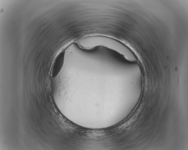 X0000086301145200704271820