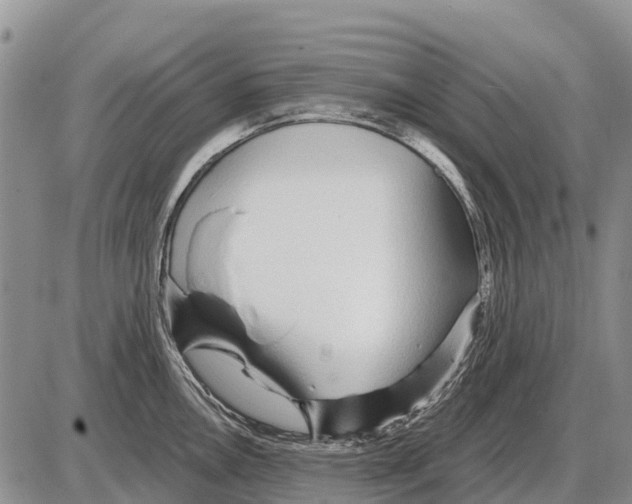 X0000086301146200704271820