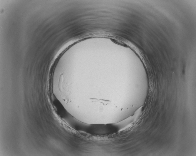 X0000086301147200704271820