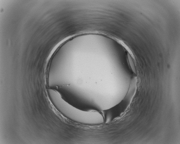 X0000086301148200704271820