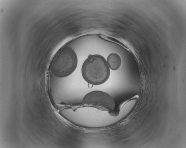 X0000086301151200704271821