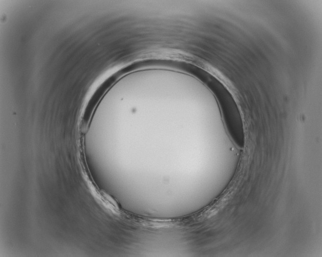 X0000086301152200704271821