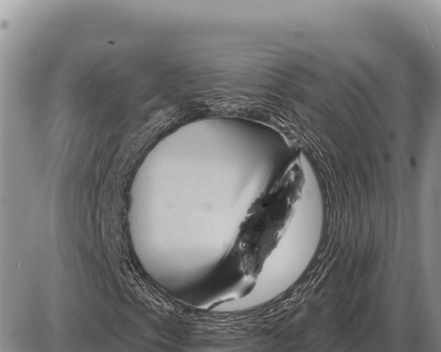 X0000086301153200704271820