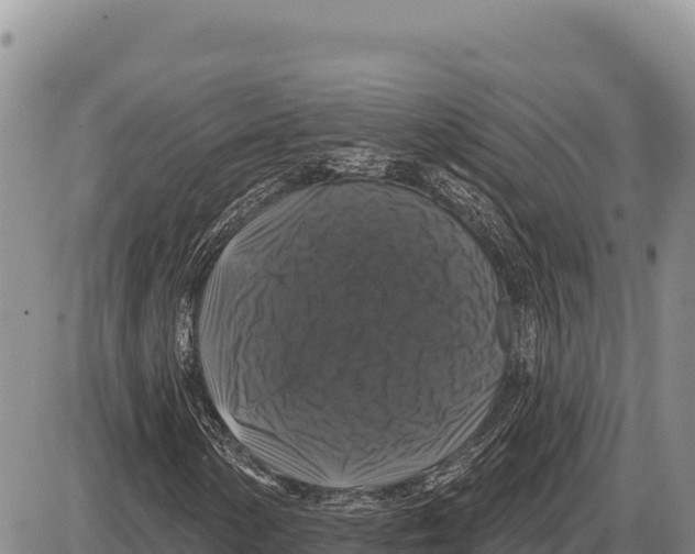 X0000086301154200704271820