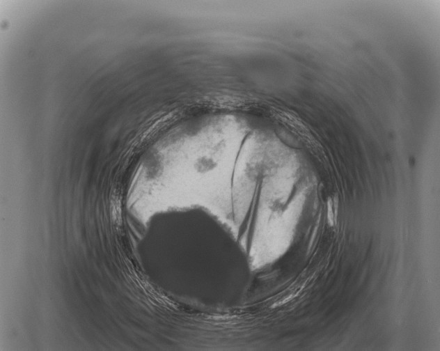 X0000086301155200704271820