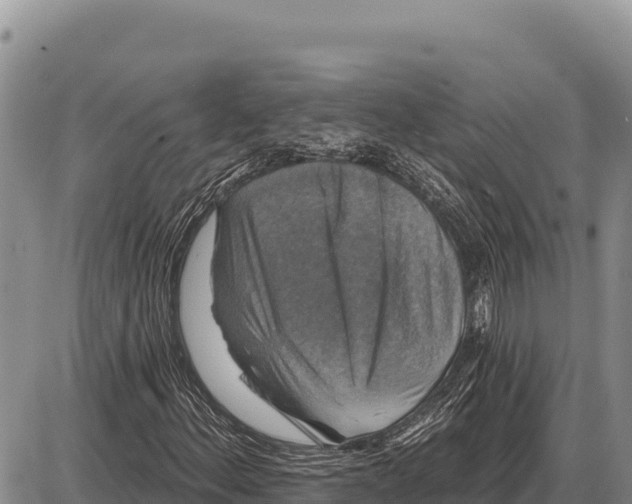 X0000086301156200704271820