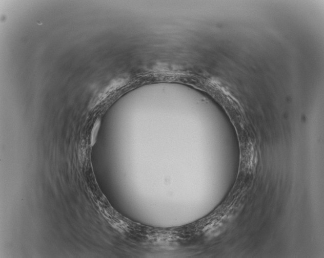 X0000086301157200704271820