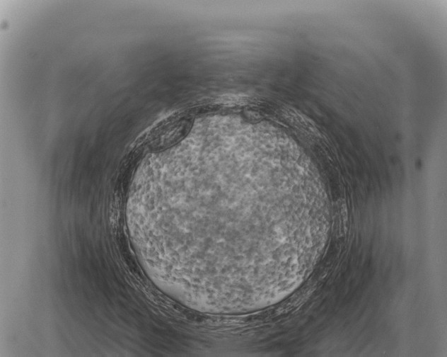 X0000086301158200704271820