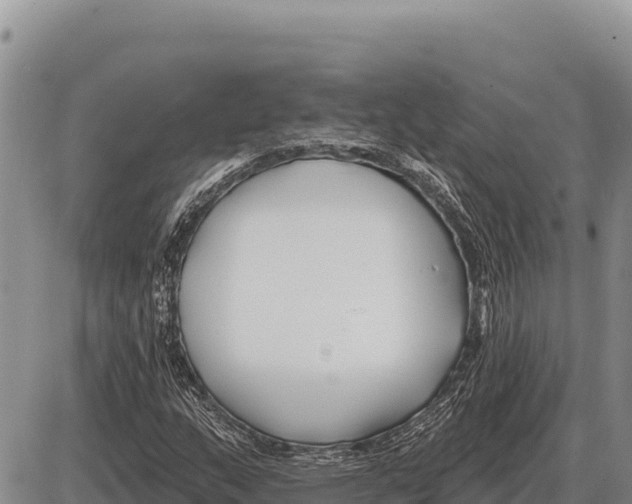 X0000086301159200704271820