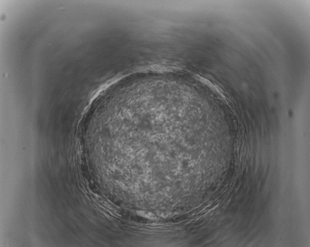 X0000086301160200704271820