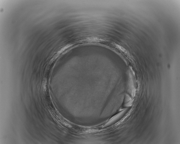 X0000086301161200704271820