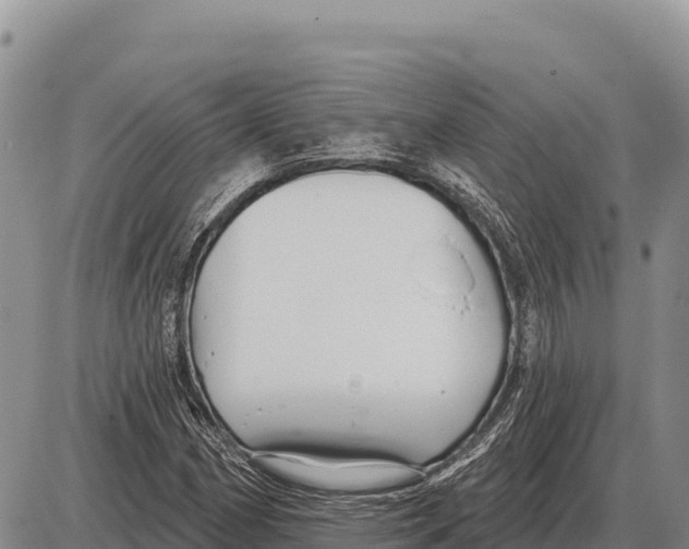 X0000086301162200704271820