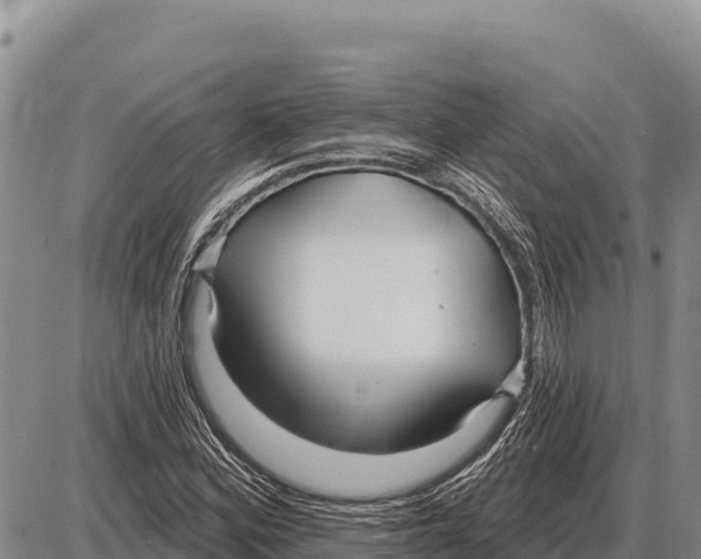 X0000086301164200704271820