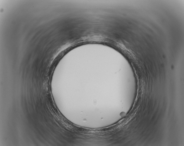 X0000086301166200704271820