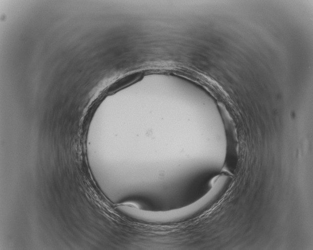 X0000086301168200704271820