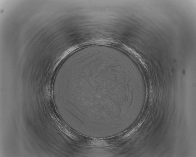 X0000086301170200704271819