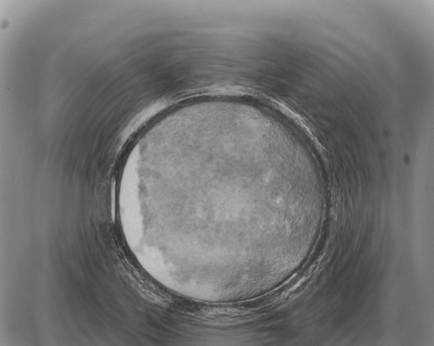 X0000086301171200704271819