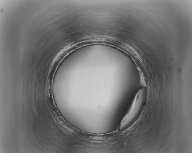 X0000086301172200704271819