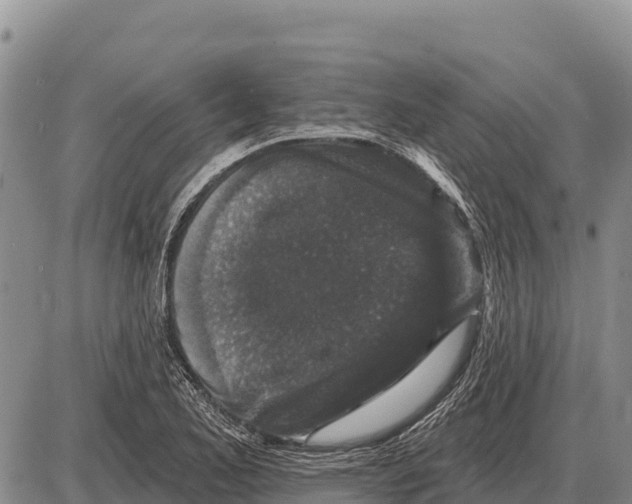 X0000086301173200704271819