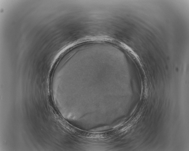 X0000086301174200704271819