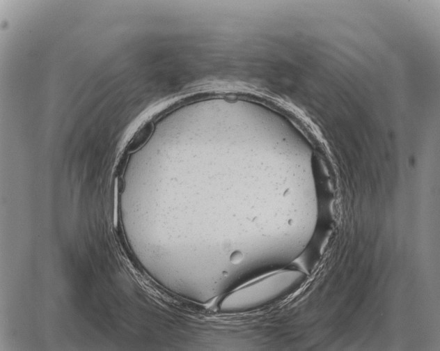 X0000086301175200704271819