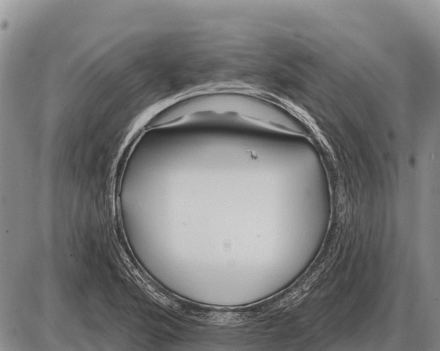 X0000086301176200704271819