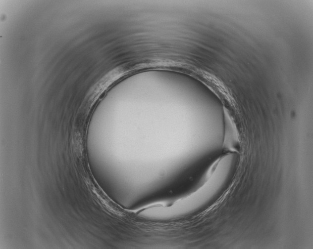 X0000086301177200704271819