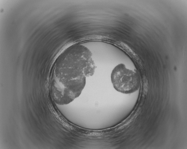 X0000086301178200704271819