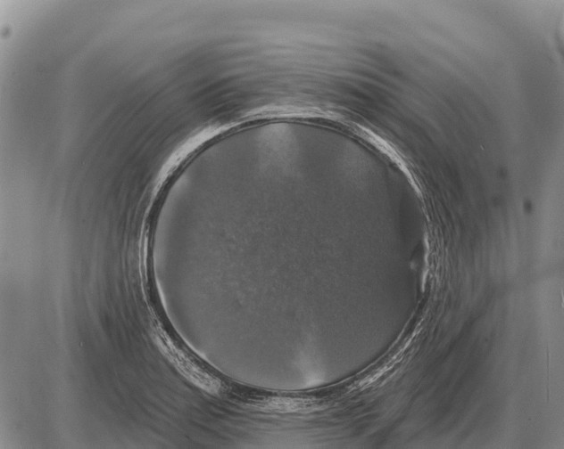 X0000086301179200704271819