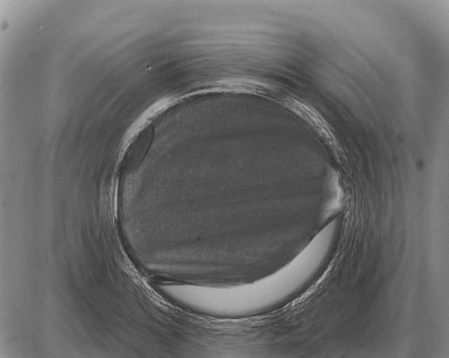 X0000086301180200704271819