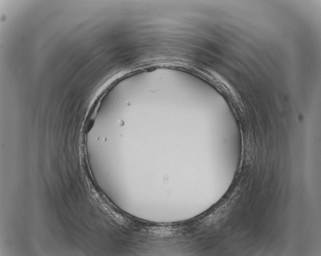 X0000086301182200704271819