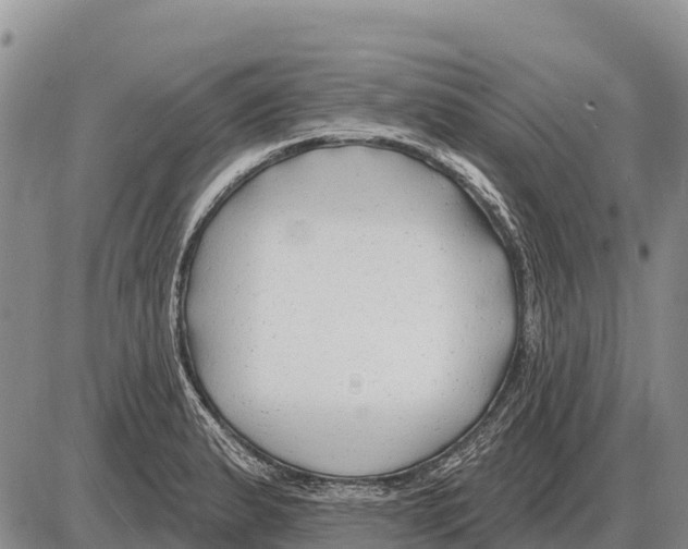 X0000086301183200704271819