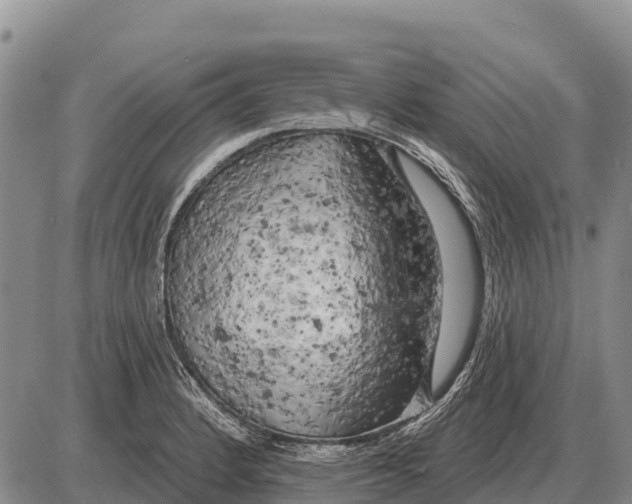 X0000086301184200704271819