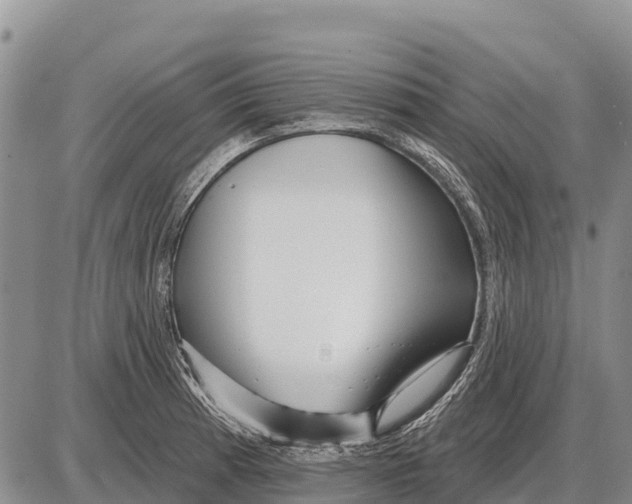 X0000086301185200704271819