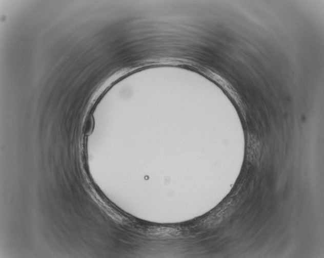 X0000086301187200704271819