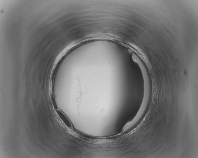 X0000086301188200704271819