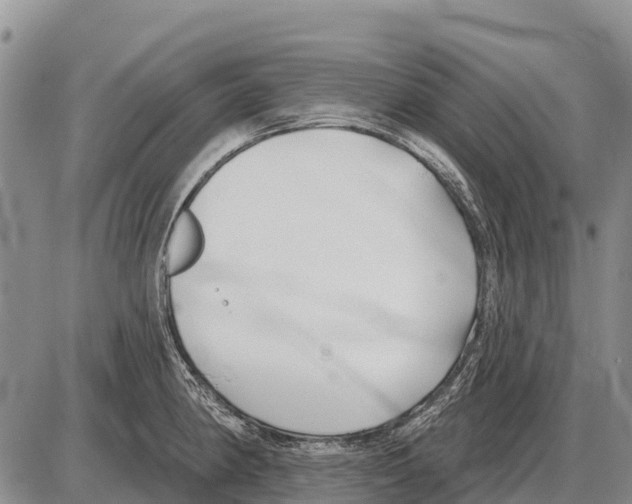 X0000086301190200704271819