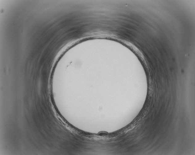 X0000086301191200704271819