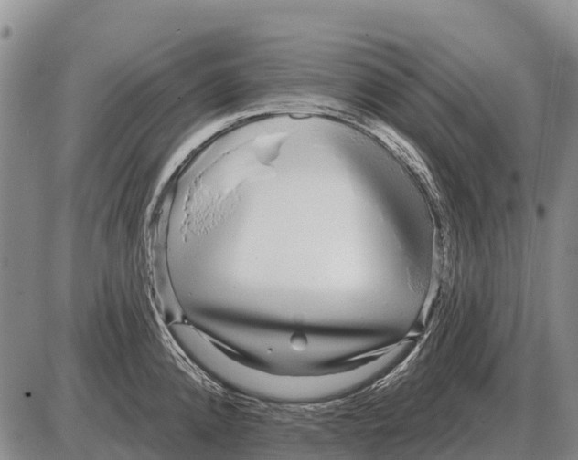 X0000086301192200704271819