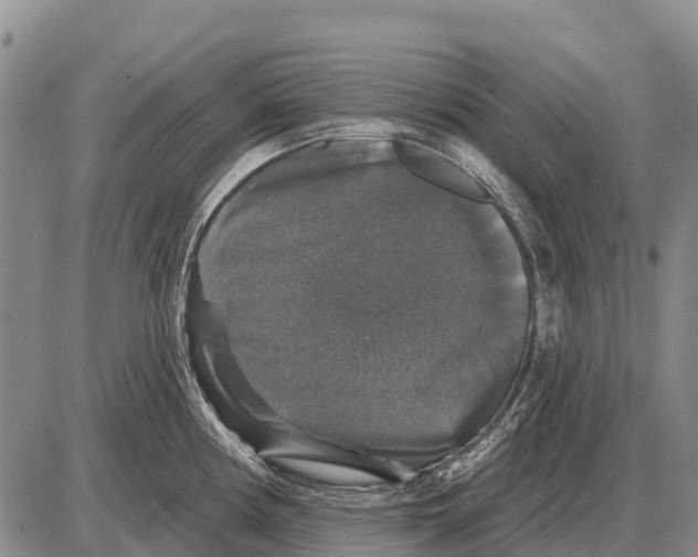 X0000086301194200704271819