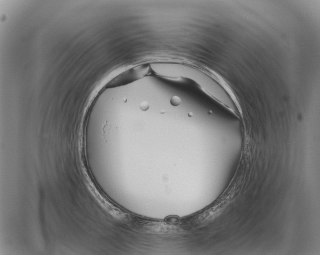 X0000086301195200704271819