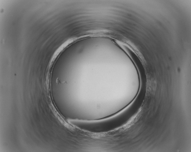 X0000086301196200704271819